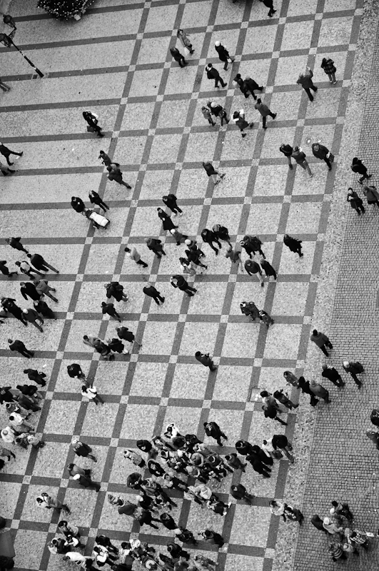 Yuri Evangelista - Street Photography - the ants